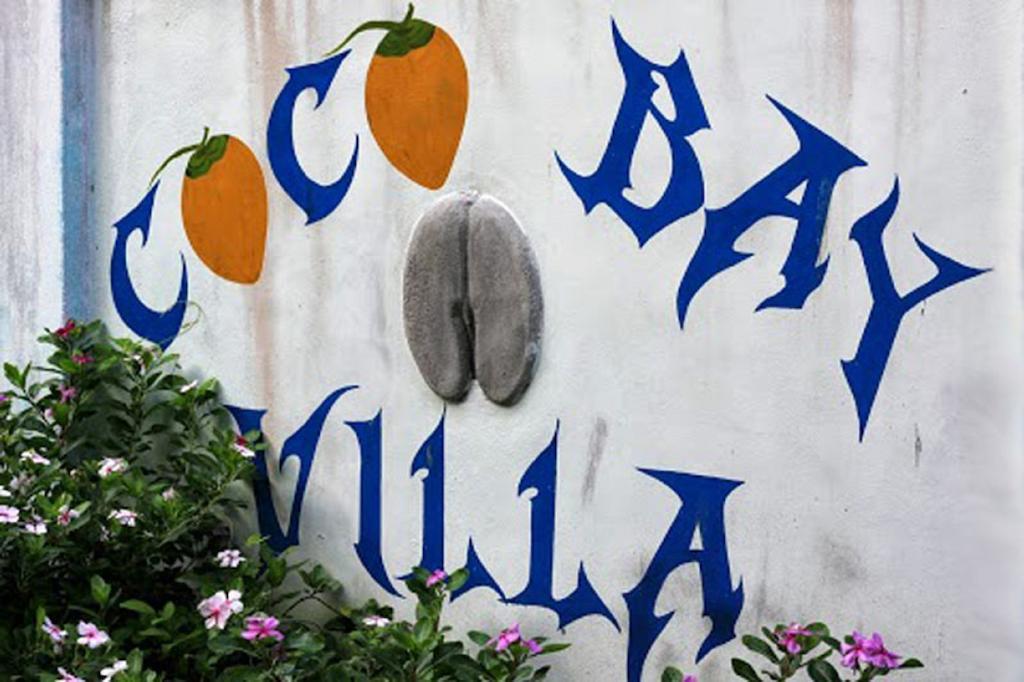באיה סיינטה אנה Coco Bay Villa מראה חיצוני תמונה